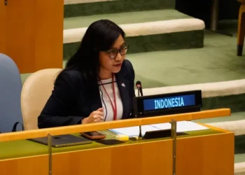 Indonesia Tegaskan Penanganan HAM Papua Sesuai Hukum