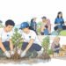 zurich-tanam-1000-mangrove-sayang-bumiku
