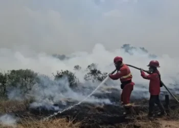 Hotspot Karhutla Sumsel Turun Jadi 579 Titik, OKI Terbanyak
