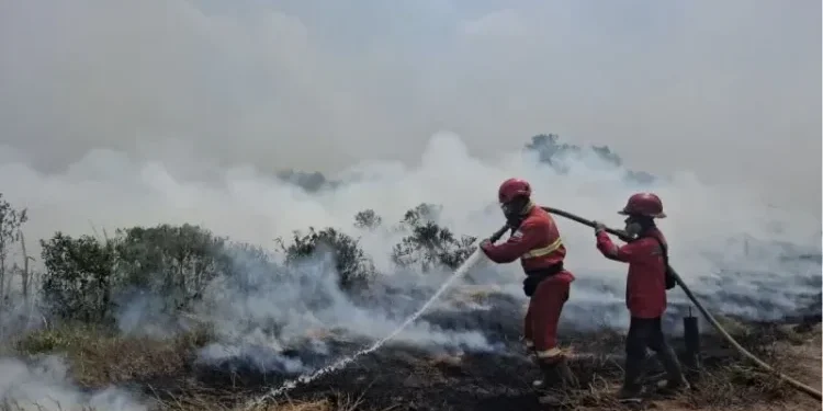 Hotspot Karhutla Sumsel Turun Jadi 579 Titik, OKI Terbanyak